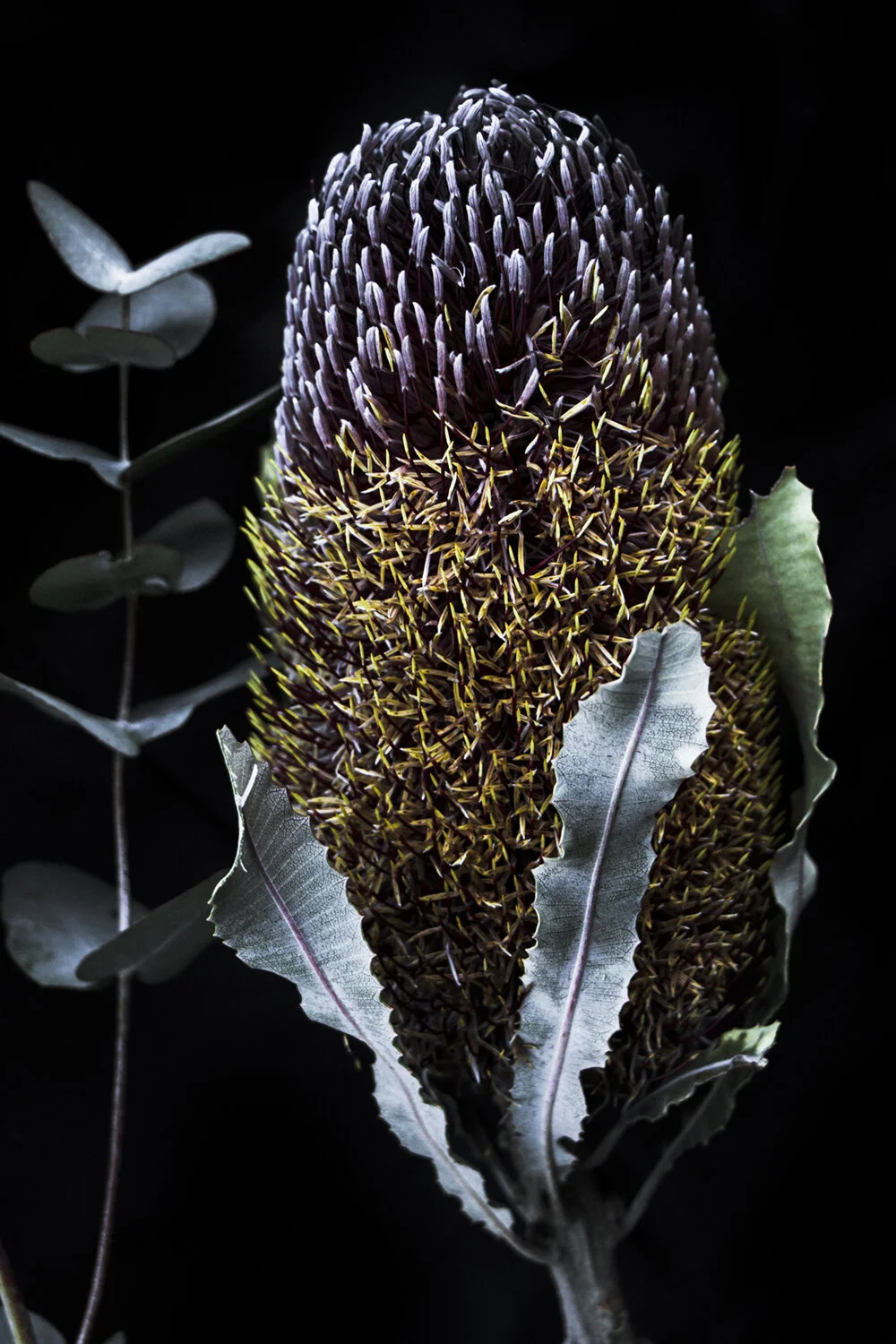 Elizabeth Hosking: A Rising Star in Journalism