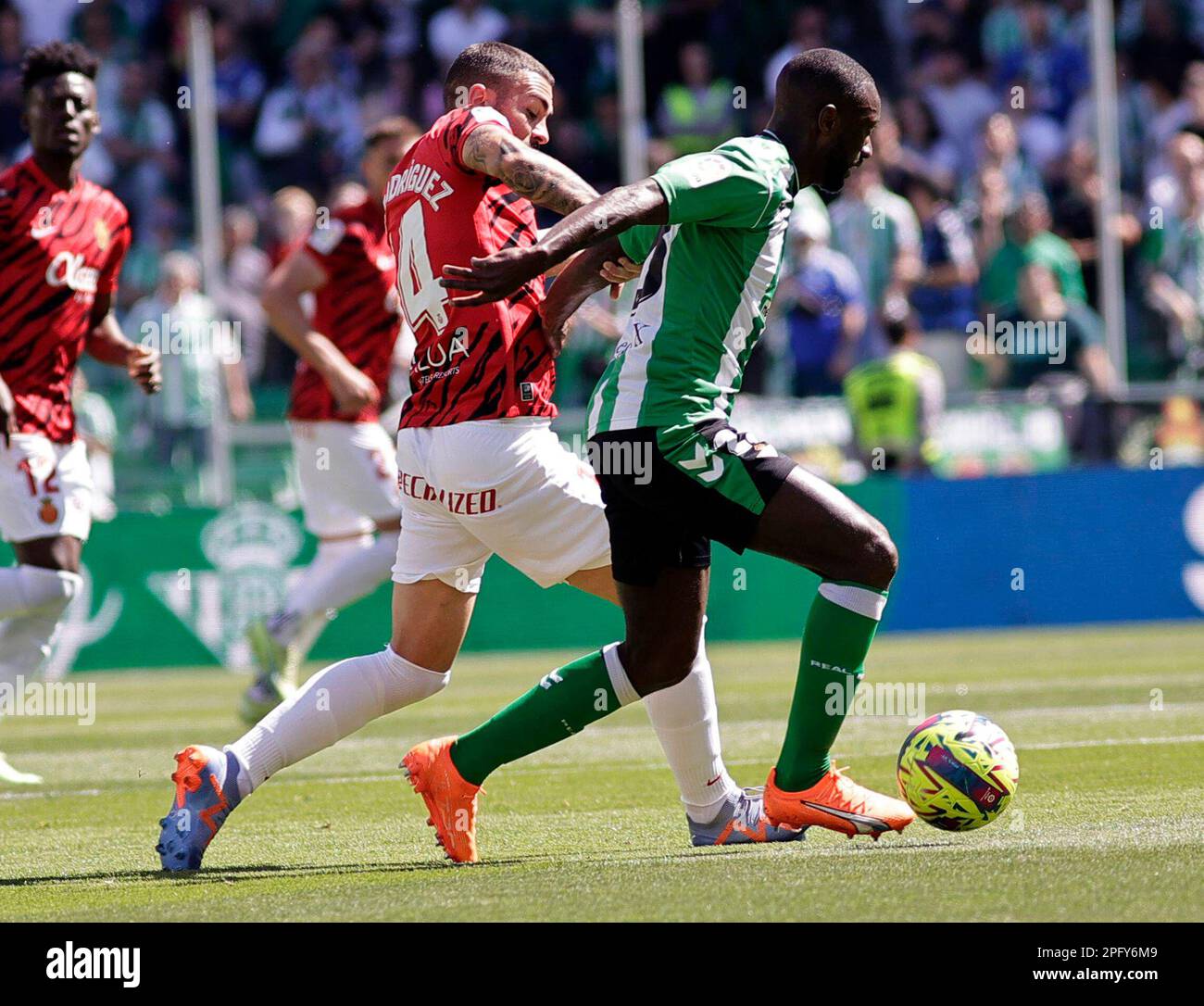 R.C.D. Mallorca Aims for Victory Against Real Betis