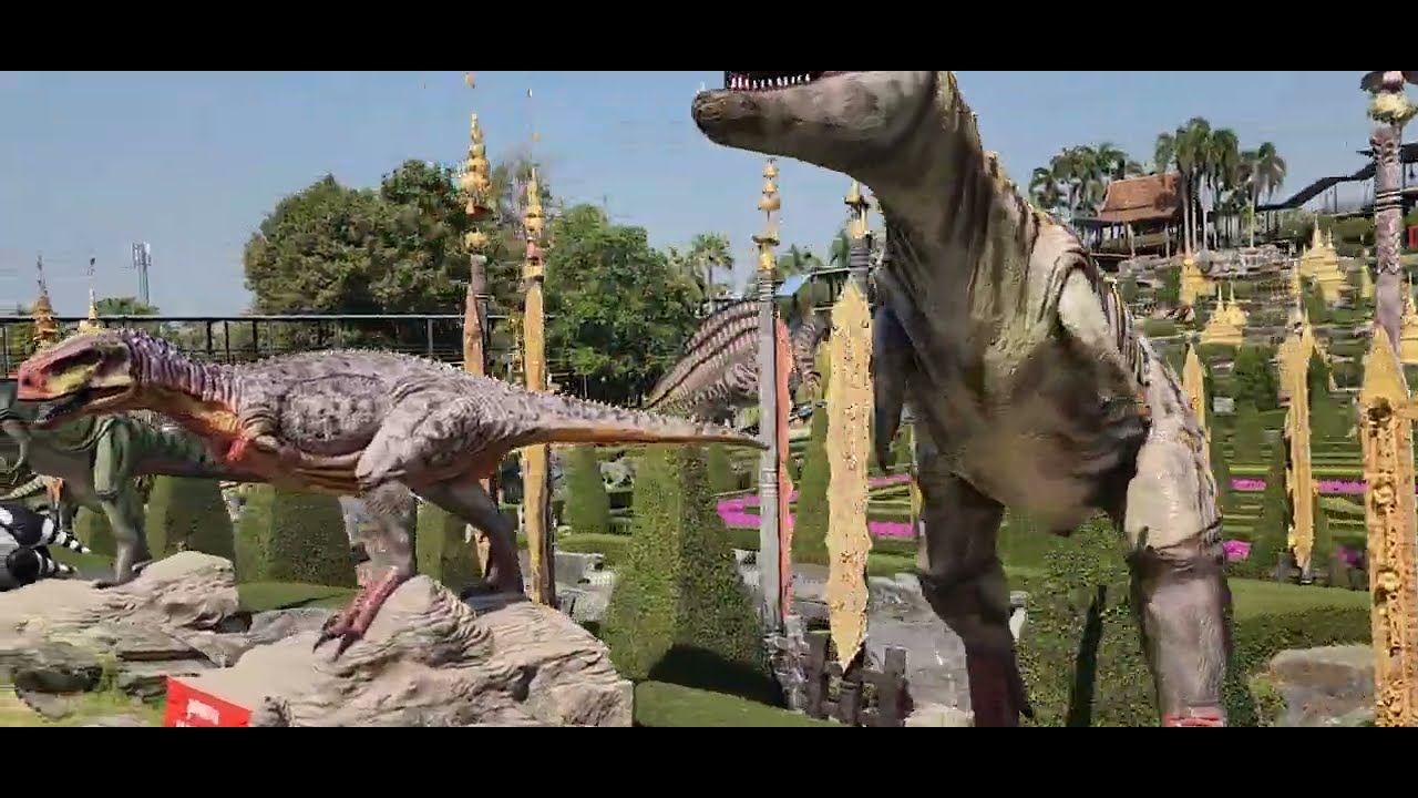 The Importance of SWR in Fishing: Techniques and Benefits