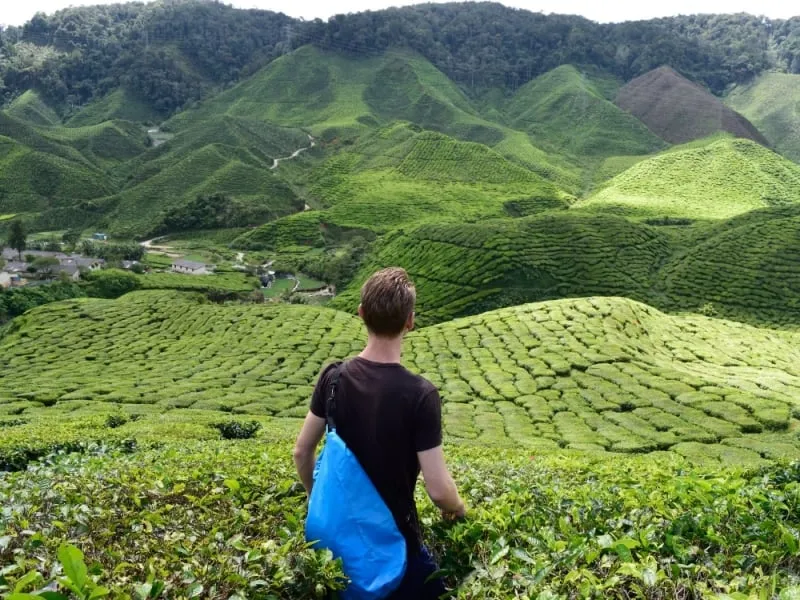 23 march holiday — IN news