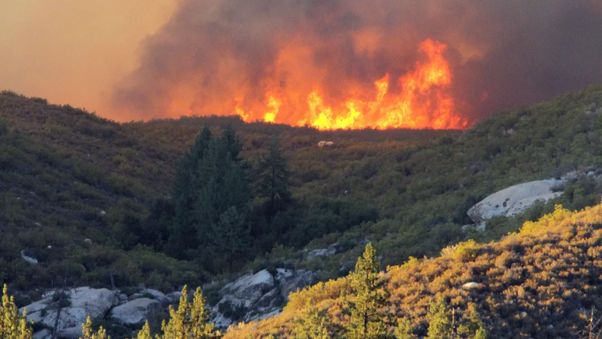 Climate Change: Urgent Warning as Extreme Weather Events Surge