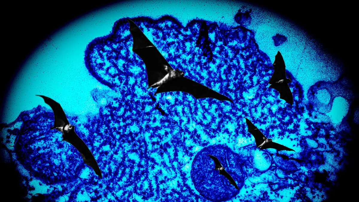 Nipah Virus Outbreak in Kerala Raises Urgent Health Concerns