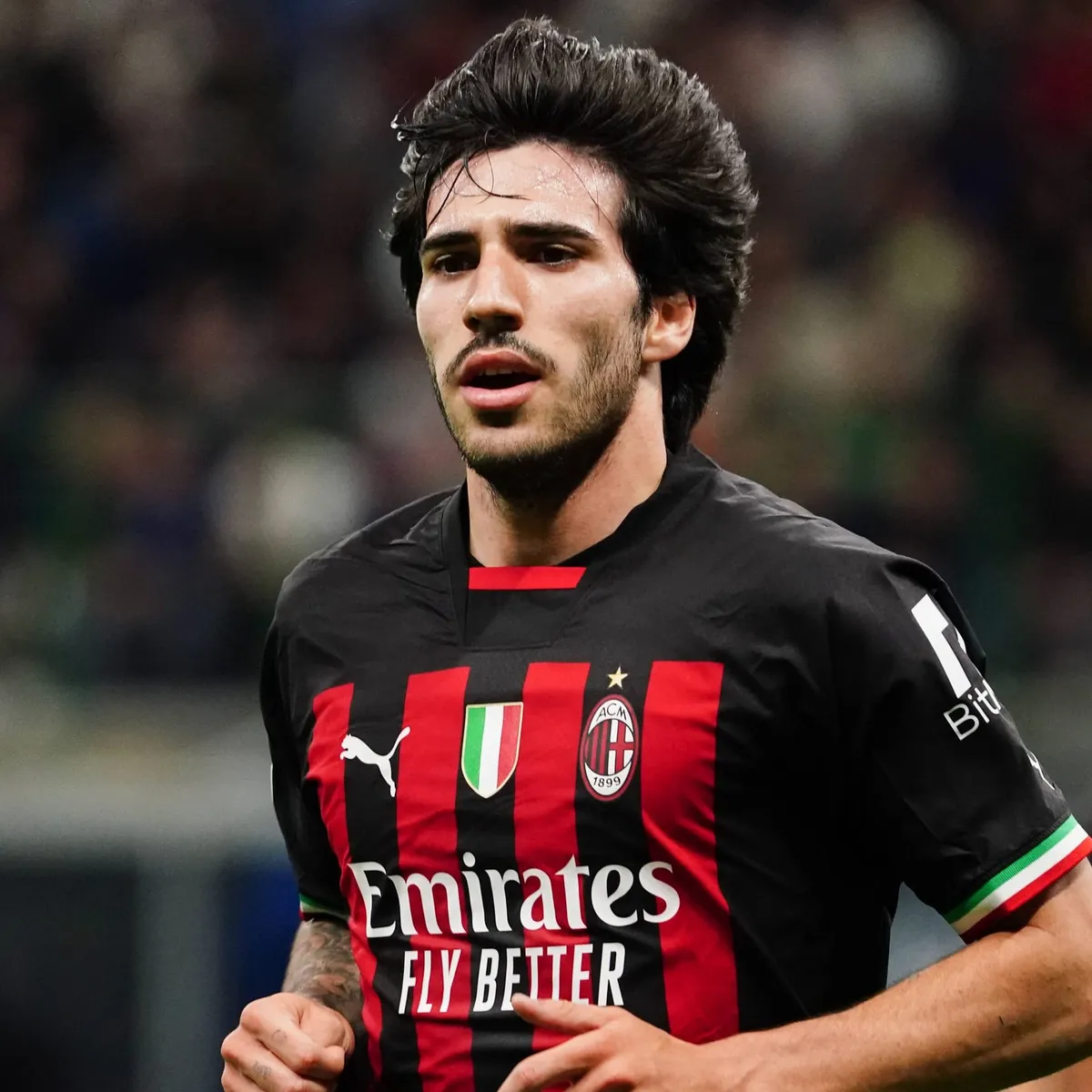 sandro tonali — IN news